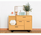 EGGSHELL PAINT EP-17 VINTAGE YELLOW